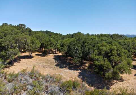 4 Holding Field RUN, CARMEL, CA 93923