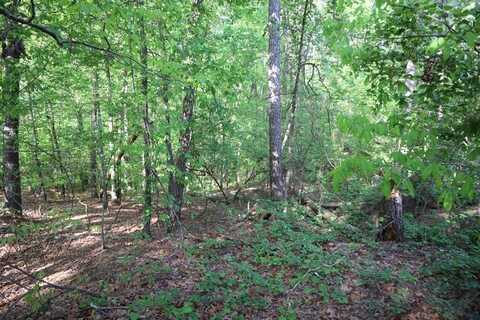 LT.46 LAKE SINCLAIR DR., Sparta, GA 31087