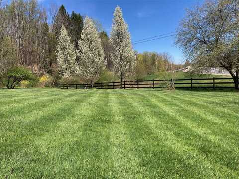 California Avenue, Liberty, NY 12754