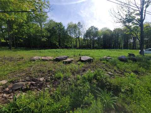 Tanzman, Parksville, NY 12754