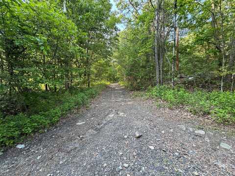 24 Saul Trail, Wallkill, NY 12589