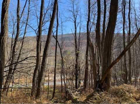 Phillipsport RD, Spring Glen, NY undefined
