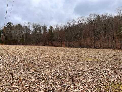 00 state route 97 Route, Cochecton, NY 12726