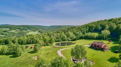 99 John Dietz Road, Callicoon Center, NY 12724