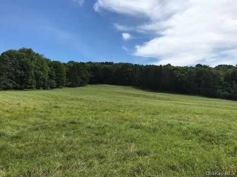 7 McColly Road, Fremont Center, NY 12736
