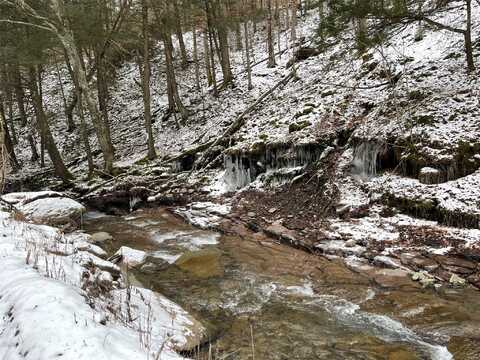 Carcass Brook Spur, Hancock, NY 13783