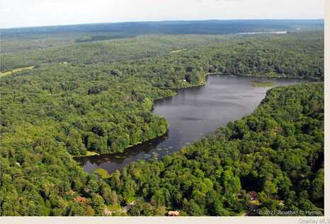 Starlight buildable lot/land Road, White Lake, NY undefined