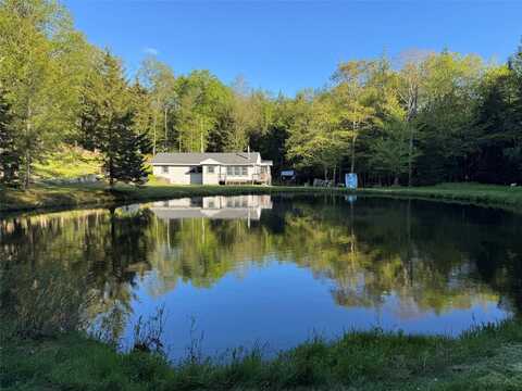 128 Forest Drive, Livingston Manor, NY 12758