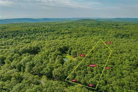 Budd Road, Wurtsboro, NY 12790