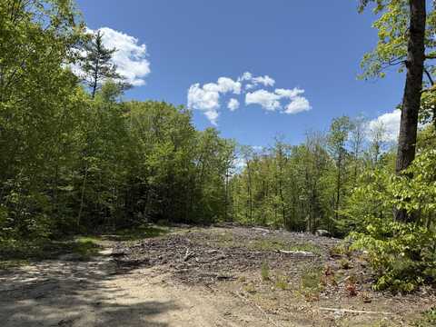 Lot 1 Naples Road, Harrison, ME 04040