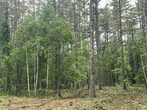 0 Mayville Road, Bethel, ME 04217