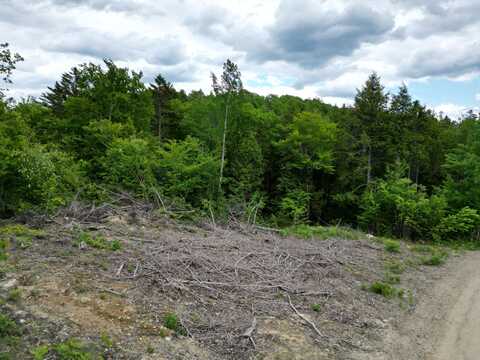Lot 4 Shep Road Extension, Springfield, ME 04487