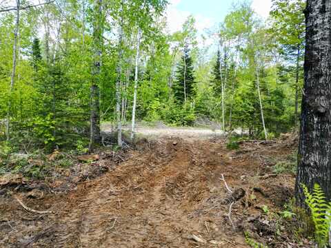 Lot 12-1a Hale Farm Road, Lee, ME 04455