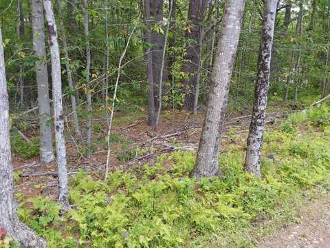 M19-l16-1 Augsuta Road, Jefferson, ME 04348