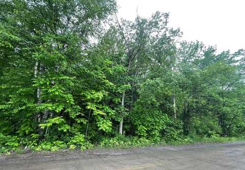 M1 L 11-3 Coboro Road, Stetson, ME 04488