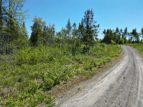 Lot 8 Riverbend Road, Lowell, ME 04493
