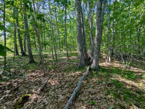 Lot Tbd West Hamlet Road, Newcastle, ME 04553