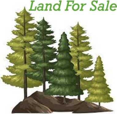 6.79 A End McAllister Rd, Buckfield, ME 04220
