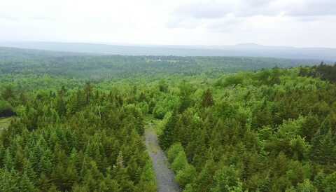 14 Alpine Ridge, Greenville, ME 04441
