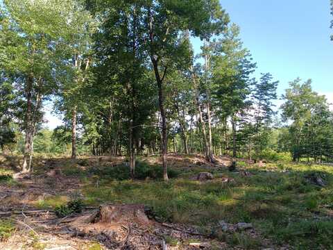 95 Walnut Hill Road, Shapleigh, ME 04076