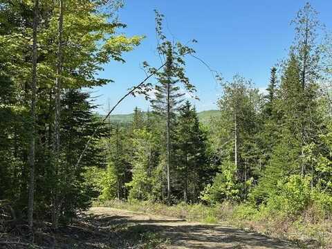 Lot 10 Mt. Jefferson Heights, Lee, ME 04455