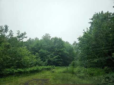 Lot 2-12 Diamond Match Road, Milo, ME 04463