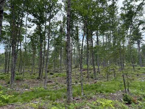 Lot 4 Isaac Stevens Road, Bridgton, ME 04009