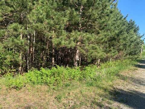 Lot 24 Grand View Drive, Dedham, ME 04429