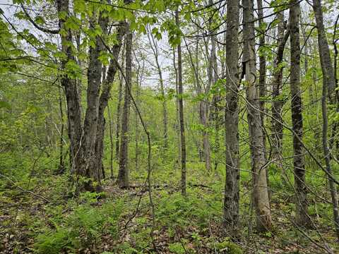 681 Mile Hill Road, New Sharon, ME 04955