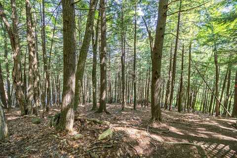 35a-12 Woodland Road, Winthrop, ME 04346