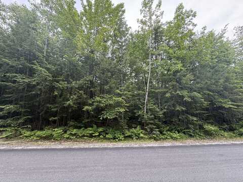 Lot 1 Swamp Road, Bridgton, ME 04009