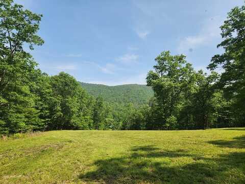 0 Dry Fork Road, ROCKY GAP, VA 24366