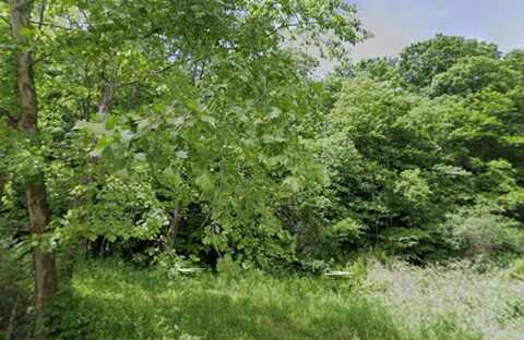 0 CABIN BRANCH RD, ROCK, WV 24747