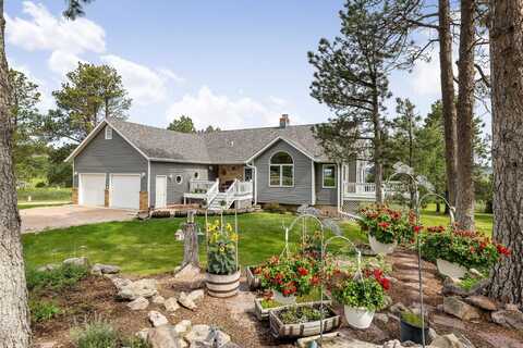 10542 Grandview Ter, Piedmont, SD 57769