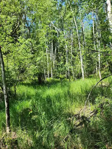 11670 Rochford Road, Rochford, SD 57745