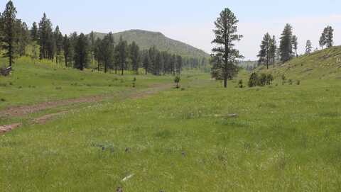 65.49 acres Custer Limestone Road, Custer, SD 57730