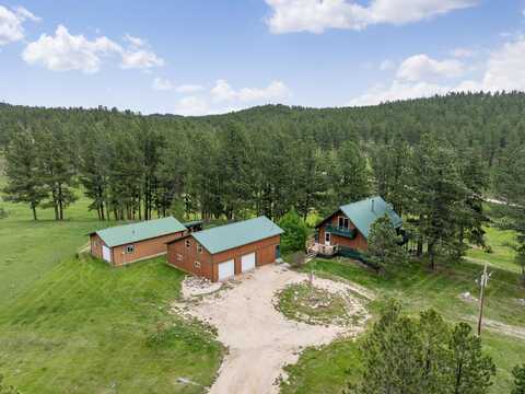 25370 S Lightning Creek Road, Custer, SD 57730