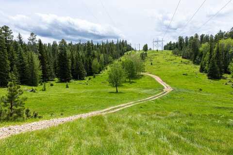256.87 acres Yellow Creek Road, Lead, SD 57754