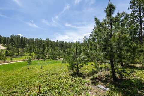 Lot 4 Magpie Road, Lead, SD 57754
