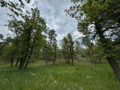 Lot 5 Blk 12, Sturgis, SD 57785