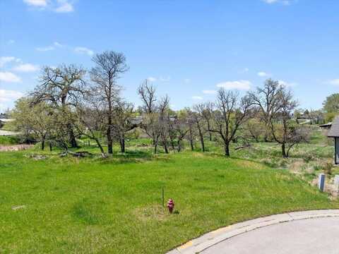 TBD Lot 18 Birnam Wood Lane, Belle Fourche, SD 57717