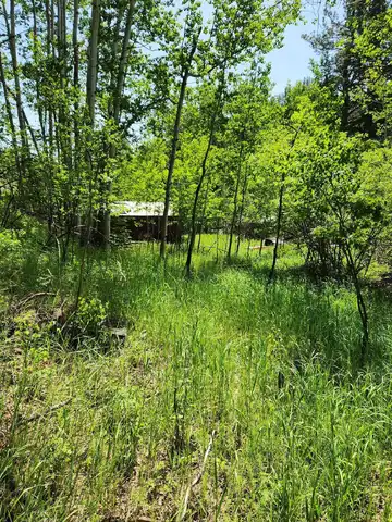 11670 Rochford Road, Rochford, SD 57745
