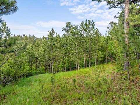 Lot 17 Green Mountain Court, Spearfish, SD 57783