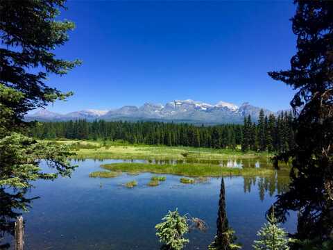 Nhn North Fork Road, Polebridge, MT 59928