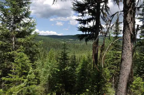 3630 Logan Creek Road, Whitefish, MT 59937