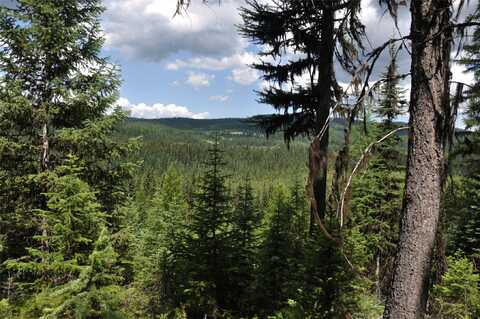 3630 Logan Creek Road, Whitefish, MT 59937