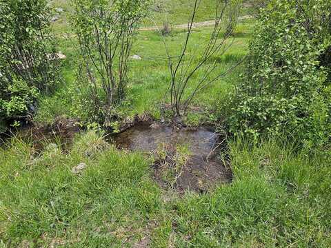 Nhn Osprey Road, Helmville, MT 59843