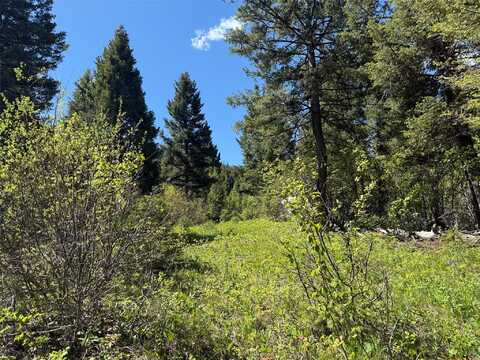Nhn Camas Springs Road, Potomac, MT 59823