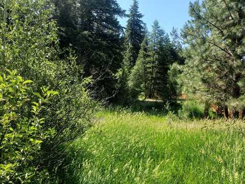 141 Lick Creek Road, Hamilton, MT 59840