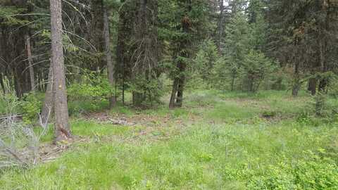 Tbd Tract 35a High Country Road, Plains, MT 59859